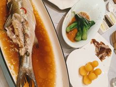 -全聚德(上海首店浦东店)