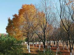 -长春世界雕塑园冰雪艺术天地