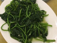 -鸿达渔港