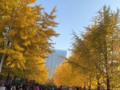 -辽宁大学(崇山校区)