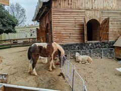 -HERRE·FARM 赫尔露营农场·团建聚会包场