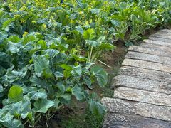 -天河儿童公园