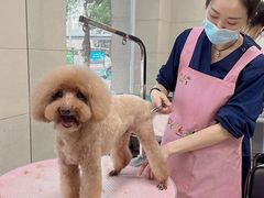 -北京观赏动物医院·24小时大型综合·猫专科·异宠专科