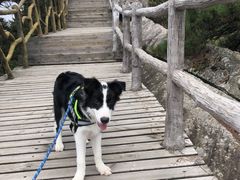 -罗田薄刀峰风景区