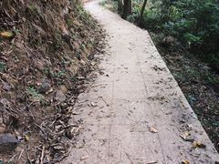 -火炉山森林公园
