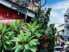 -槟城街头艺术街区