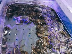 -澜悦港海鲜体验主题餐厅