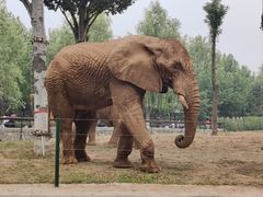 -石家庄市动物园