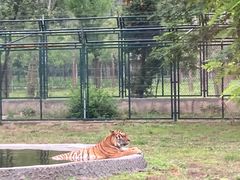 -秦皇岛野生动物园