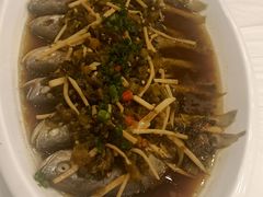 小黄鱼-庐州太太(鼓楼店)