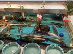 水产区-必点海鲜·鲅鱼水饺(鞍山西道店)