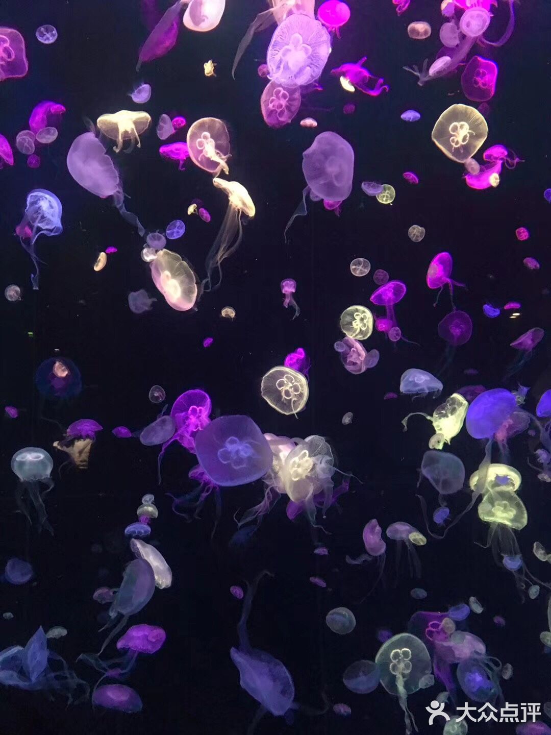 珠海长隆海洋王国