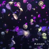 珠海长隆海洋王国