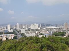 -金鸡山公园