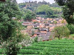 -杨家堂村
