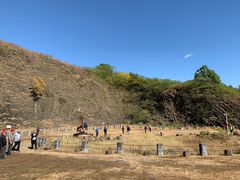 -六合国家地质公园桂子山景区