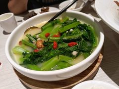 薏米鸡汤浸春菜-九毛九西北菜(百信广场店)