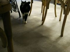 -研途咖啡馆(健康路店)