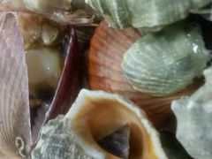 -睿柏云酒店-餐厅