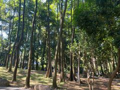 -广州市帽峰山景区