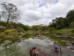 -云溪植物园