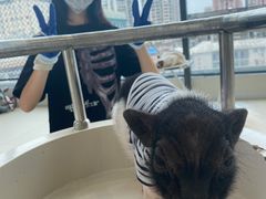 -怪兽屋·羊驼·猫咖·狗咖(俊华广场店)