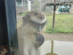 -杭州野生动物世界