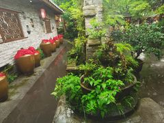 -青城甲(青城山店)