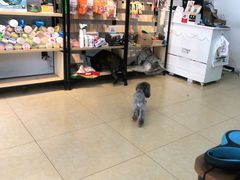 -沐沐家宠物(成寿寺店)