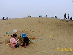 -东郊湿地公园