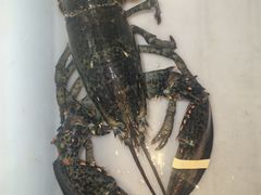 -鱼乐轩·俄罗斯海鲜直供餐厅(群力店)