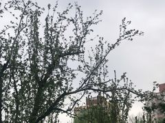-海棠花溪(元大都城垣遗址公园)