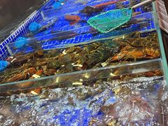 -高佳庄·舟山海鲜(海景旗舰店)