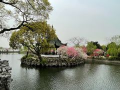 -无锡蠡湖国家湿地公园-蠡园