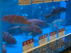 -协成海鲜火锅(海洋花园店)