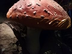 -扬州科技馆