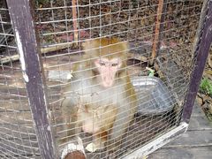 -武汉紫薇都市田园