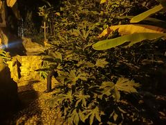 -云南滇池花园国际大酒店温泉