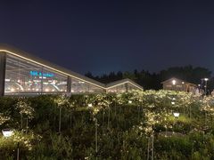 -莫子山·云中食街