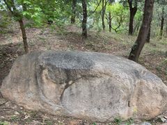 -北京鹫峰国家森林公园