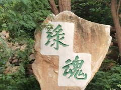 -北京西山国家森林公园