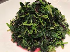 -沪碟·精菜坊(闵行店)