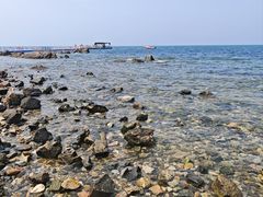 -养马岛旅游度假区
