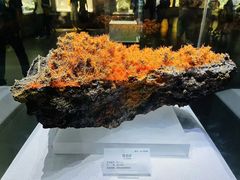 -湖南省地质博物馆