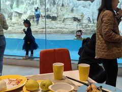 -帝企鹅自助餐厅•儿童岛•真企鹅(长隆企鹅酒店)