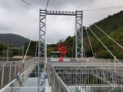 -呀诺达热带雨林