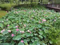 -沐仙湖湿地公园