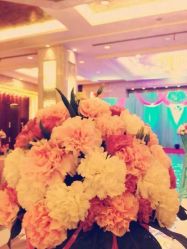 android_upload_pic-忆江南婚礼策划(姑苏店)
