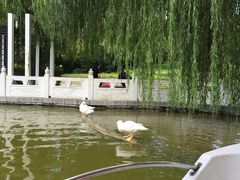 -丰台花园