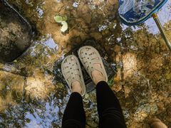 -杭州半山国家森林公园